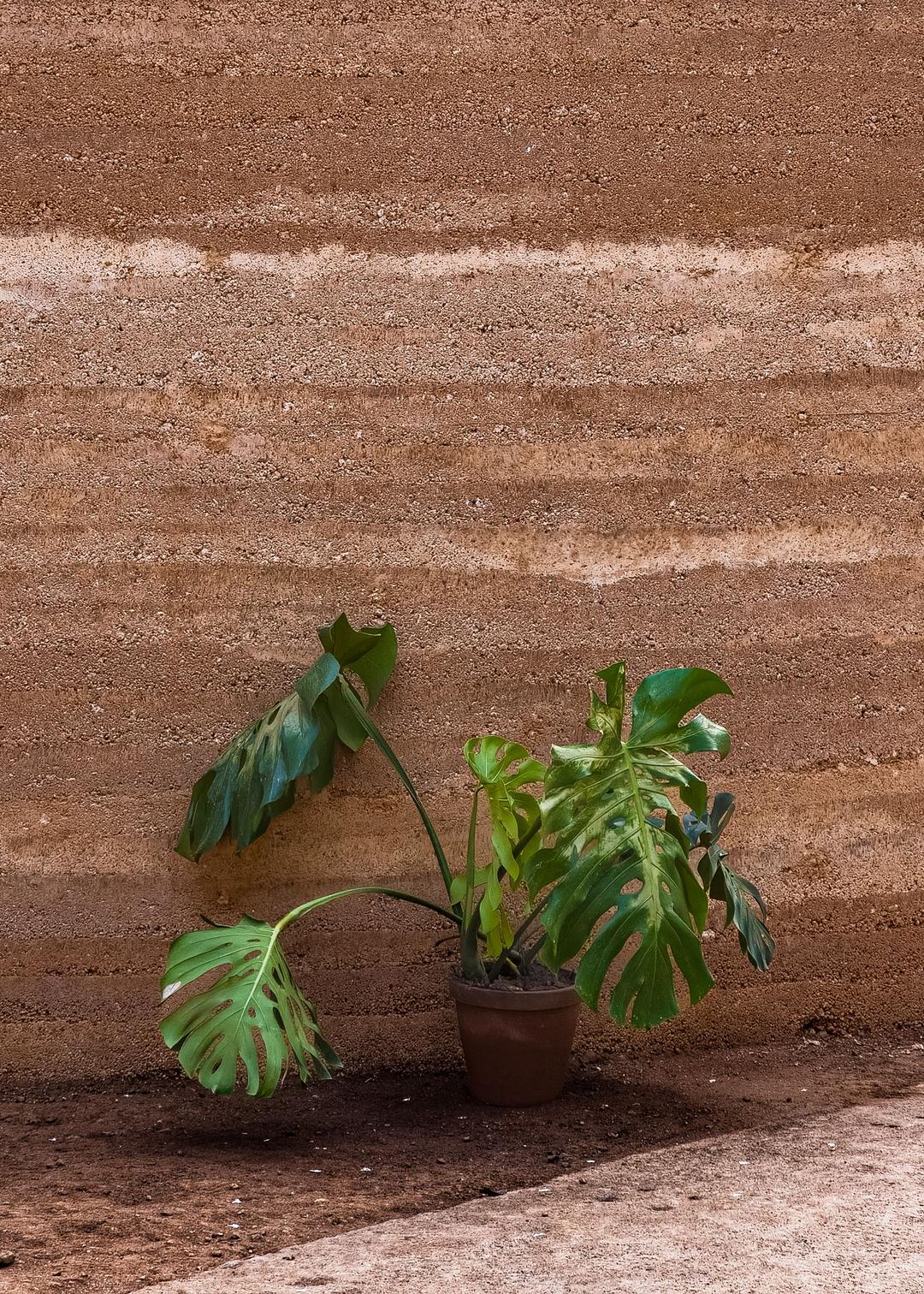 Story Image